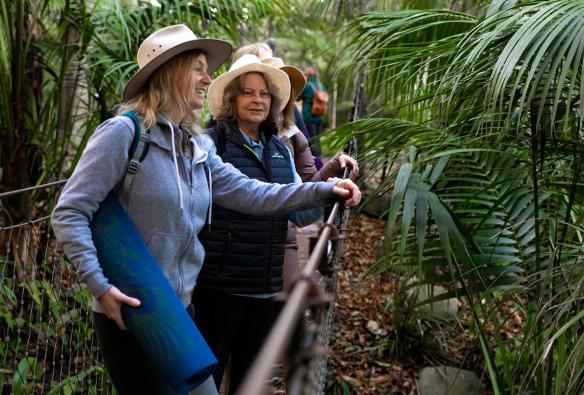 A group yoga session at Perth Zoo, Perth, Western Australia © Perth Zoo / The Hike Collective