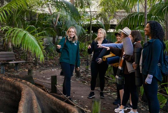 A group yoga session at Perth Zoo, Perth, Western Australia © Perth Zoo / The Hike Collective
