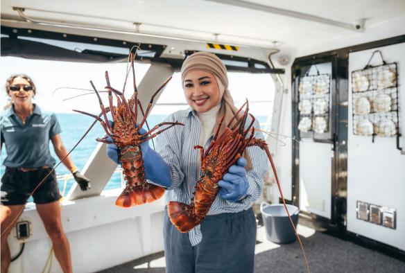 Freshly caught lobster in the cruise, Western Australia © Sea West