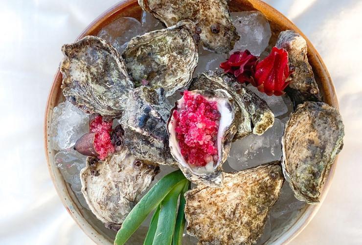 Native rock oysters with hibiscus and finger lime granita, Karkalla on Country, Byron Bay, New South Wales © Karkalla on Country
