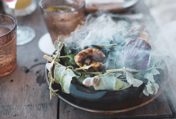 Steaming scallops in open shells, Karkalla on Country, Byron Bay, New South Wales © Karkalla on Country