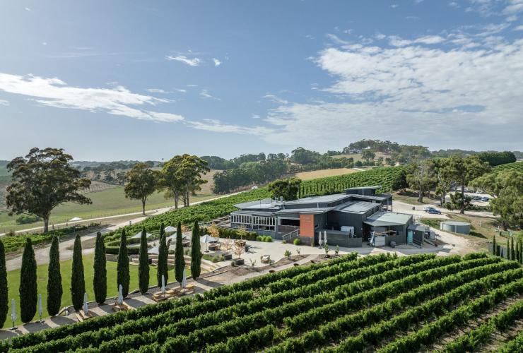 Aerial of The Lane Vineyard, Hahndorf, Adelaide Hills, South Australia © Tourism Australia