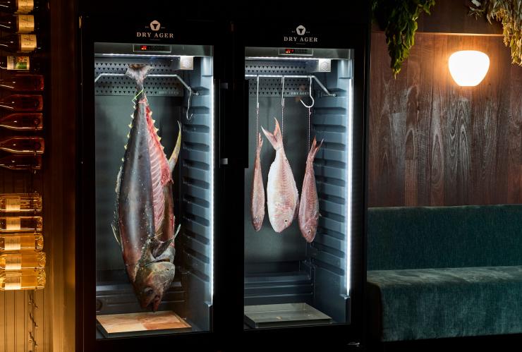 The dry-aged fish in fridges on display at Pearls&Co © Frances Andrijich