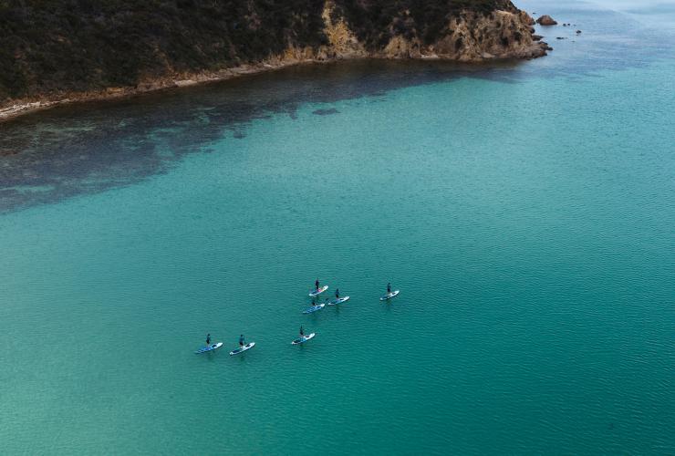 Guided paddle boarding with WAM on the Mornington Peninsula © Neisha Breen Photography