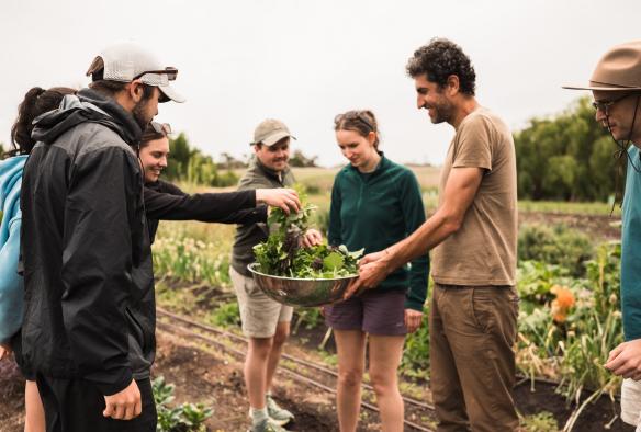 Regenerative farm tour on the Mornington Peninsula © Neisha Breen Photography