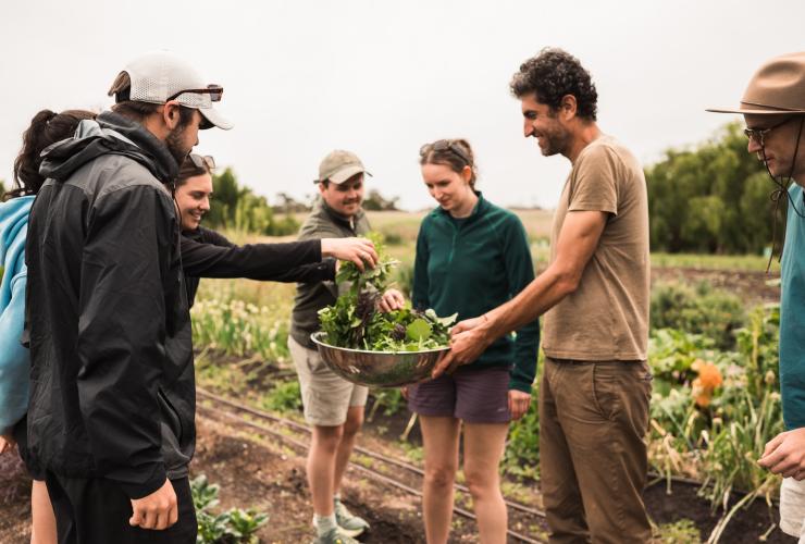 Regenerative farm tour on the Mornington Peninsula © Neisha Breen Photography