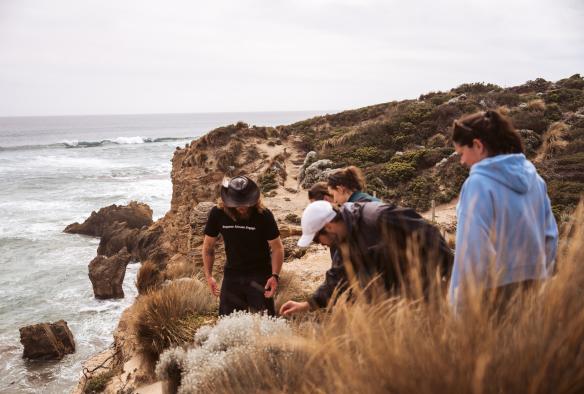 Learning about native plants on a coastal path with a First Nations guide © Neisha Breen Photography