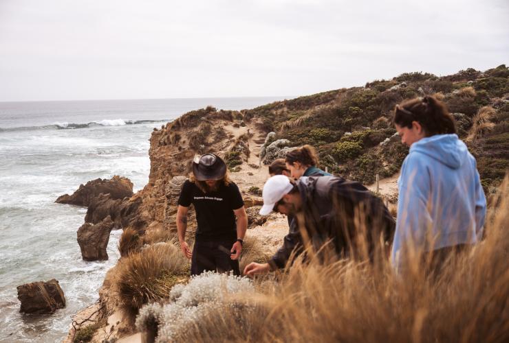 Learning about native plants on a coastal path with a First Nations guide © Neisha Breen Photography