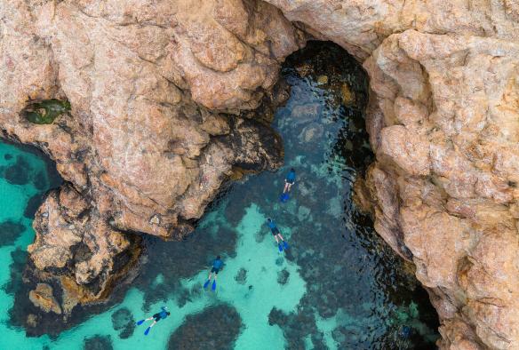 Guided snorkelling on beaches of the Mornington Peninsula © Neisha Breen Photography