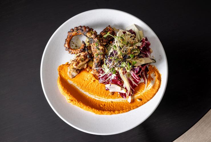Grilled octopus on a white plate with cabbage salad and a swoosh of pumpkin © MACq01