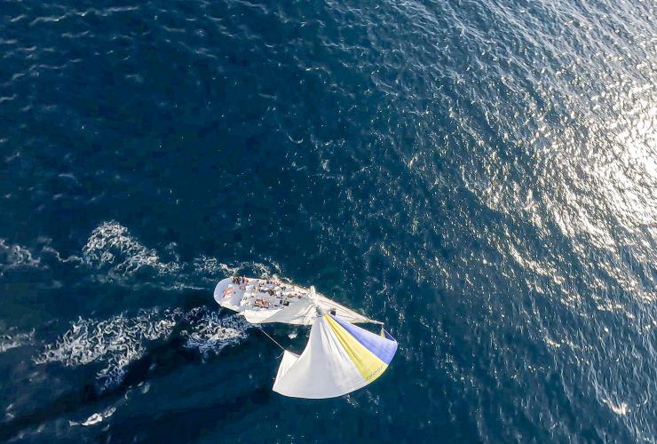 Brindabella sailing with the spinnaker and group on board sailing into the sunlight on the ocean.  © Brindabella Sailing
