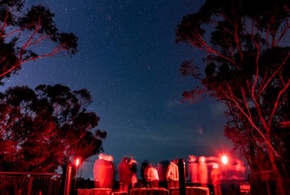 Beneath a night sky full of stars, is a group staring up, looking at the constellations © Blue Mountains Stargazing