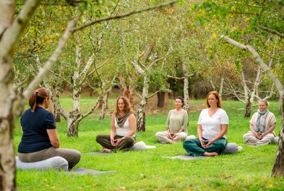 In a grassy birch grove, a meditation teacher sits in front of a small class, all with their legs crossed, and eyes closed, sitting on the grass. © Beyond Wellness Co & Jurlique
