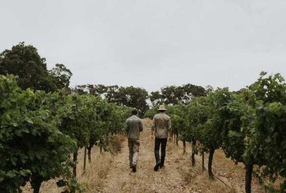 Two staffers walk through a row of grapevines at a winery. © Wayfinder Wines