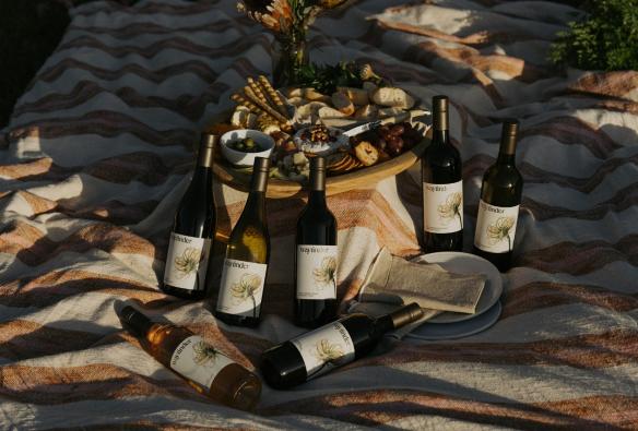 A picnic rug is set up on the grass in a vineyard, with bottles of wine and a cheese board as the centrepiece. © Wayfinder Wines