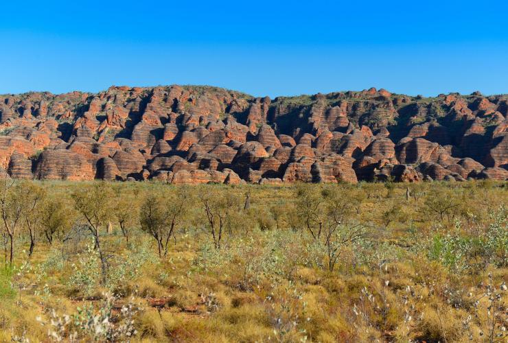 Image of the bungle bungle range, rock formations in the shape of domes, Purnululu National Park, The Kimberley, Weastern Australia